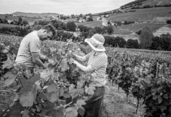 Domaine Nicolas Boudeau