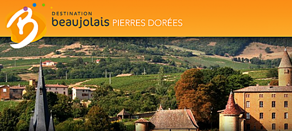 Le terroir des “Pierres Dorées” en Beaujolais